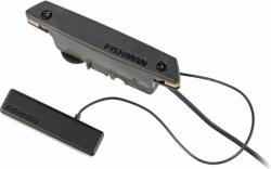 Fishman PowerTap Earth Black Doză pentru chitară acustică (PRO-REP-104)
