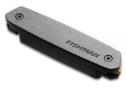 Fishman Neo-D Humbucker Doză pentru chitară acustică (PRO-NEO-D02)