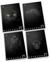 Pigna Pigna: Monocromo Black vonalas füzet - A4, 81-38, többféle (P1111-0386)