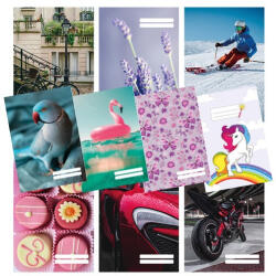 Patria Füzet pd kisalakú 32 lapos 27-32 kockás Colores