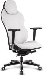 QUERSUS ICOS 1.1 Gamer szék Champagne Beige (ICOS. 1.1. Champagne Beige) (ICOS.1.1.Champagne Beige)