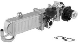 BorgWarner AGR - Modul BorgWarner 710861D (710861D)