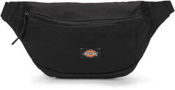 Dickies Borseta de brâu Femei BLANCHARD BLACK Dickies Negru Unic