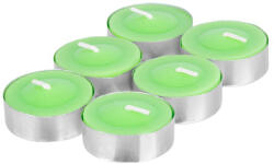 Citronella teamécses, zöld, 6 db (2172133)