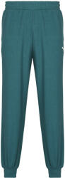PUMA Pantaloni de trening Bărbați ESS ELEVATED Sweatpants TR cl Puma verde US M