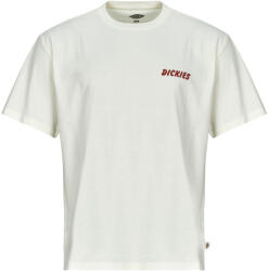Dickies Tricouri mânecă scurtă Bărbați DRY RIDGE SS TEE EGRET Dickies Alb EU S