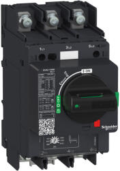 Schneider Electric GV4L motorvédő mágneses 115A 25kA kengyeles csavaros GV4L115B6