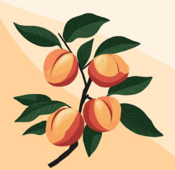 Alkotásutca Édes őszibarack - Számfestő készlet kereten 40x40