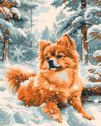 Alkotásutca Spitz a hóban - Számfestő készlet kereten 40x50