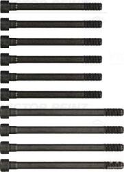 Victor Reinz Sada skrutiek hlavy valcov VICTOR REINZ 14-55042-01 (14-55042-01)