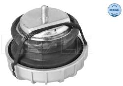 MEYLE Uloženie, motor MEYLE 014 024 0123 (014 024 0123)