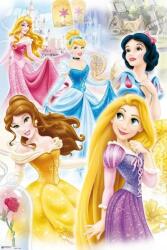 Grupoerik Disney Princess Hercegnők poszter 61x91, 5 cm