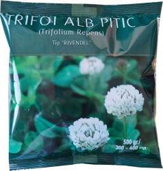 EVERDE Trifoi alb pitic, tip rivendel, 0.5 kg