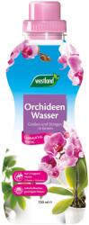 WESTLAND Ingrasamant lichid pentru orhidee, 0.72 l Westland