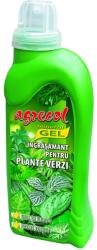 Agrecol Ingrasamant mineral gel pentru trandafiri Agrecol, 1000 ml
