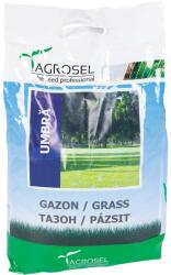 Agrosel Seminte gazon umbra Agrosel, 5 kg