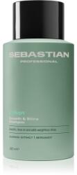 Sebastian Professional Volupt sampon a hajtérfogat növelésére 280 ml