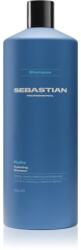 Sebastian Professional Hydre Sampon pentru par uscat si deteriorat 1000 ml