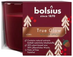 Bolsius Ароматна свещ Bolsius True Glow - Winter Spices, 100 h (8717847193551)