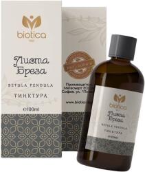 Biotica 1961 Tinctură de frunze de mesteacăn, 100 ml, Biotica 1961