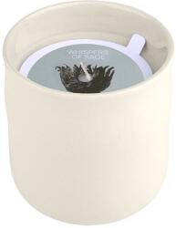 Estia Home Art Lumânare parfumată Estia - Whispers of Sage, 289 g (04-36485)
