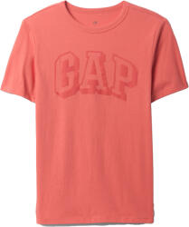 GAP V-ssnl Logo Value (708392-01)