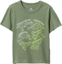 GAP Graphic (738060-06)