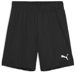 PUMA Teamgoal Shorts (70575303)