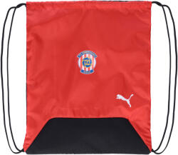 PUMA Teamgoal Gym Sack (09024003-zb)