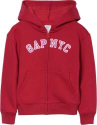 GAP V-fa Logo Heritage Fz (797761-03)