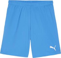 PUMA Teamgoal Shorts (70575202)