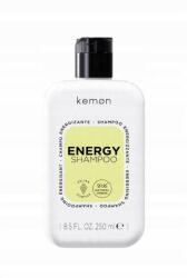Kemon Hair Care Energy hajhullás elleni sampon 250ml (8020936095996)
