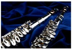  MTP RESONANCE mod. PB-2R fuvola