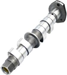 Benelli vezérműtengely kipufogó Leoncino 500 EU4/EU5 TRK 502 EU4/EU5 Benelli Motor alkatrészek Vezérműtengelyek