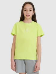 4F Lány Póló 4F Póló Nyomattal 164 F1871 SS25 (4FJWSS25TTSHF1871-45S-164)