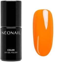 NEONAIL ojă semipermanentă 7, 2 ml - Dose Of Confidence
