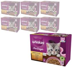 Whiskas Junior Baromfi Delicacies Gyümölcskocsonya Nedves eledel kiscicáknak 84x85g