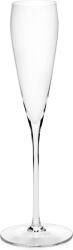 Serax Pahare pentru șampanie Silhouette, 150 ml, set 4 buc (B2225005-050) Pahar