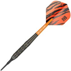 Target Raymond van Barneveld - soft darts szett Nyíl súlya: 18 g