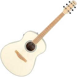 Ibanez AAM370M2E-AIB
