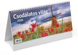 TopTimer Naptár, asztali, álló, TOPTIMER, Csodálatos világ (NKT066U)