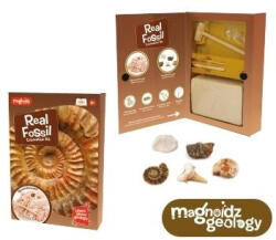 Keycraft Kit paleontologie - Descopera fosile (SC250) - roua