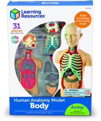 Learning Resources Macheta corpul uman (LER3336)
