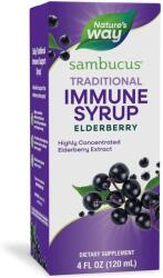 Nature's Way Sambucus Traditional Immune Sirop de soc negru, 120 ml, Nature's Way