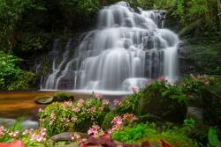  MÉDIA Cascada7 vászonkép, 105 x 70 cm