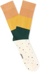 CELIO Xmisotacos (1180625)