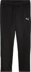 PUMA Teamgoal Training Pant W (65864203)