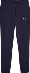 PUMA Teamgoal 23 Casuals Pants (65860406)