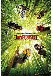LEGO Макси постер Lego - Ninjago, 6 нинджи, Зелен (PP34257)
