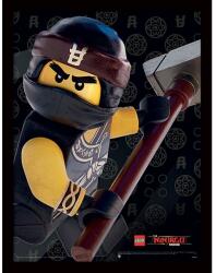 LEGO Картина Lego - Ninjago, Cole, В остъклена рамка (FP12051P)